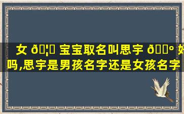 女 🦊 宝宝取名叫思宇 🐺 好吗,思宇是男孩名字还是女孩名字呢